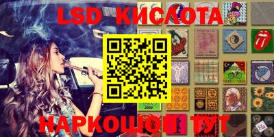 стафф Бийск