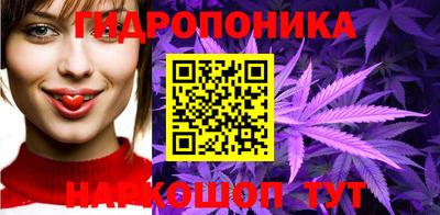 стафф Бийск