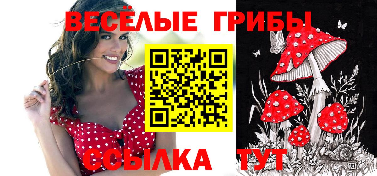 Жуковский  Псилоцибиновые грибы ЛСД  Галлюциногенные грибы мицелий  что такое наркотик  Вход с VPN 